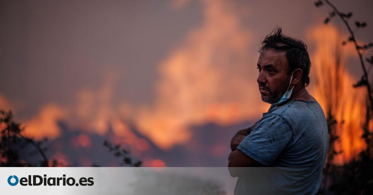 El cambio climático es el mayor pirómano: revelan que hizo 40 veces más probables los megaincendios del verano