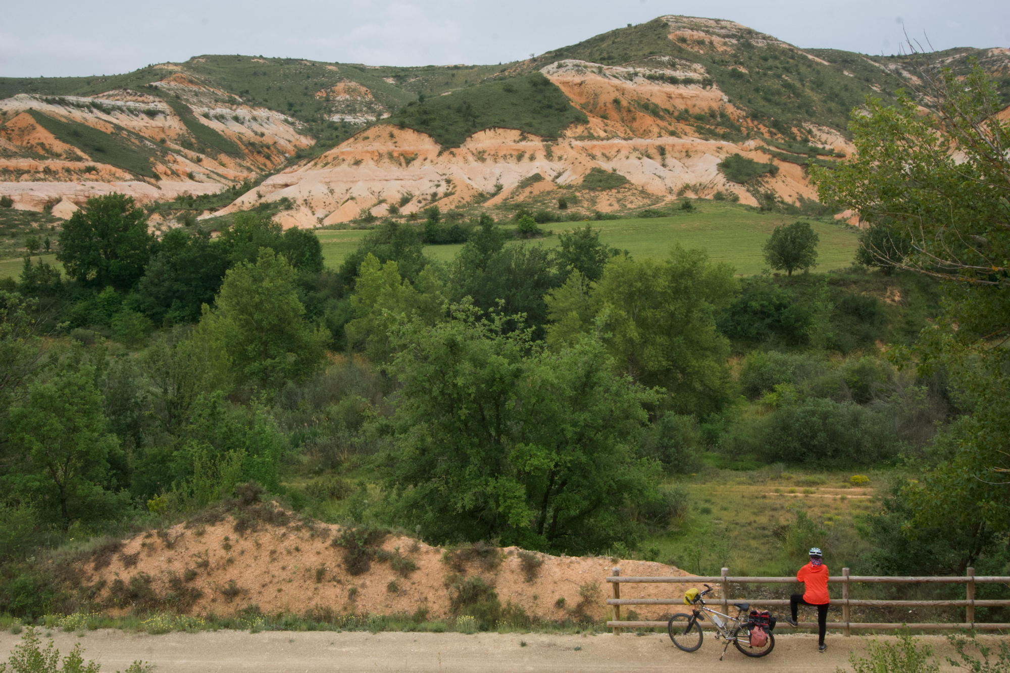 Cárcavas en La Bureba