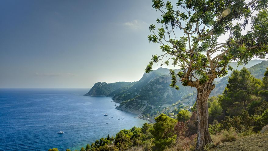 La mala gestión y la sobreexplotación de los acuíferos amenazan a Ibiza: "La catástrofe será irreversible"