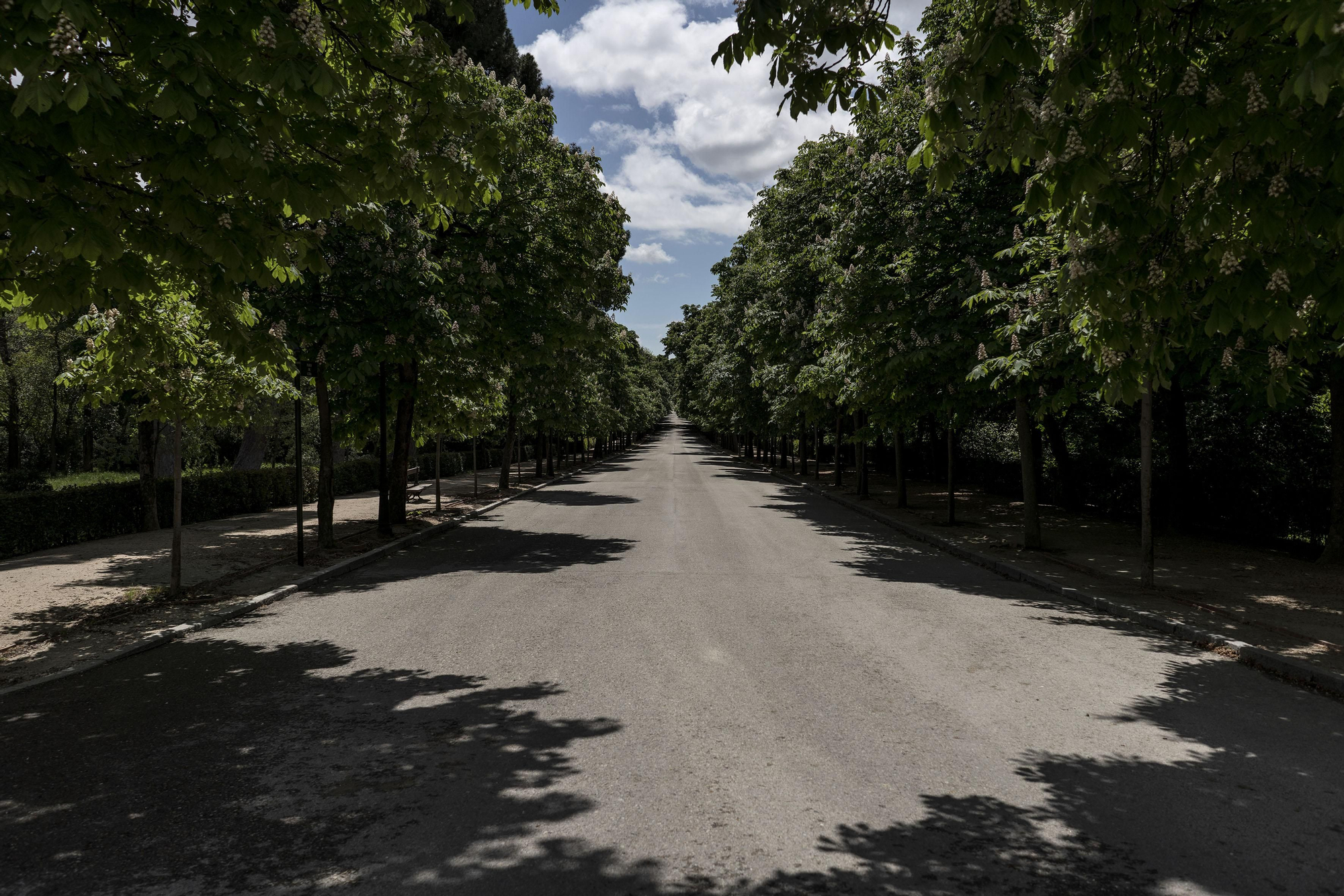 Parte de El Retiro sin deportistas ni viandantes por él