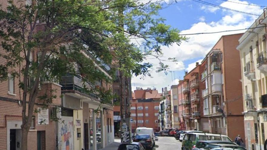 Salustiano, el único árbol de su calle, busca pareja en Madrid