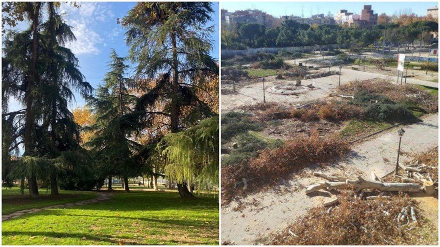 El antes y el después de las talas en Carabanchel y Arganzuela por las obras de Metro: "Es un atentado ecológico"