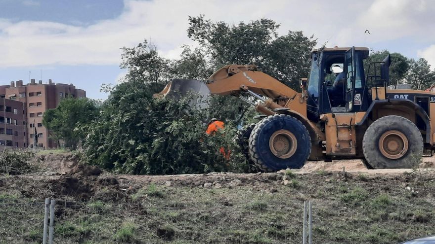 Almeida arrasa con los árboles del Parque Forestal de Vicálvaro para abrir otro polémico cantón de limpieza