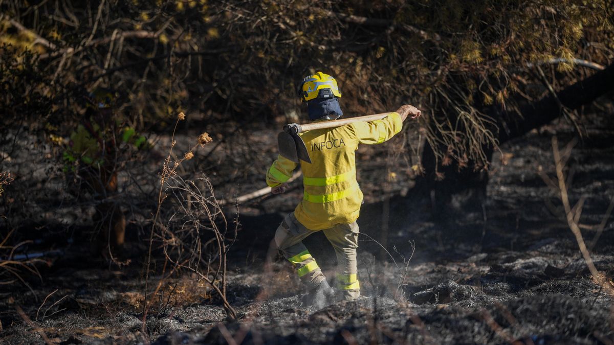 El Seprona investiga el origen del incendio de este lunes en Cerro Muriano