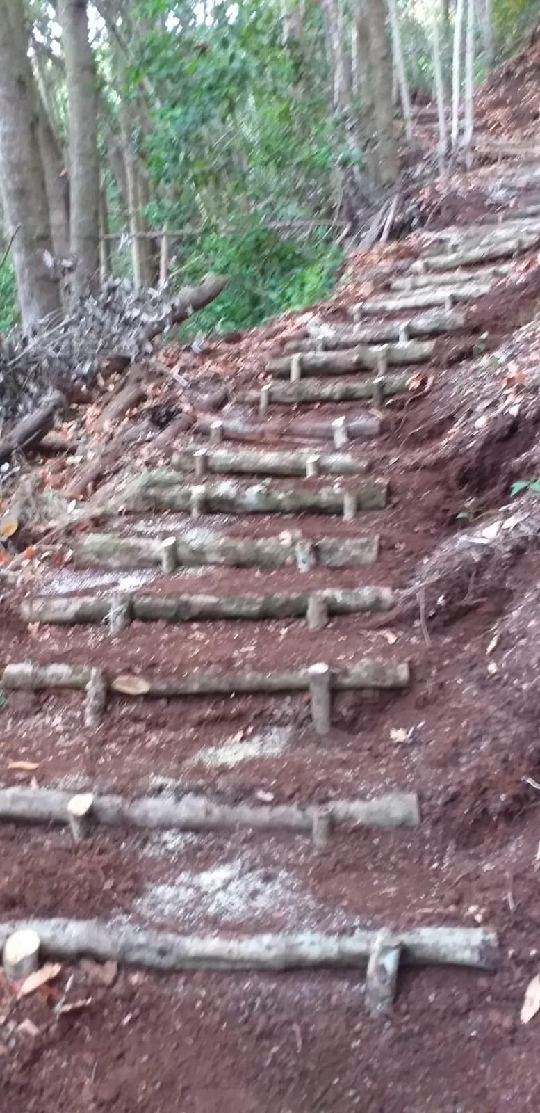 Camino ya recuperado para el tránsito.