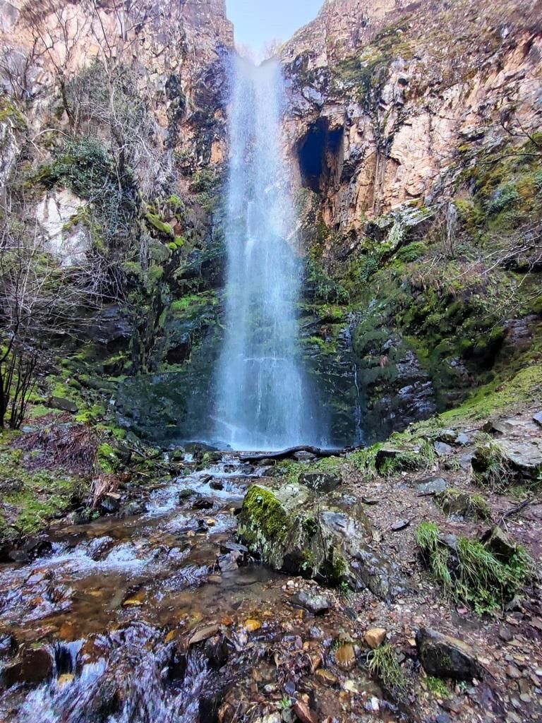 Gualtón de Carracedo.