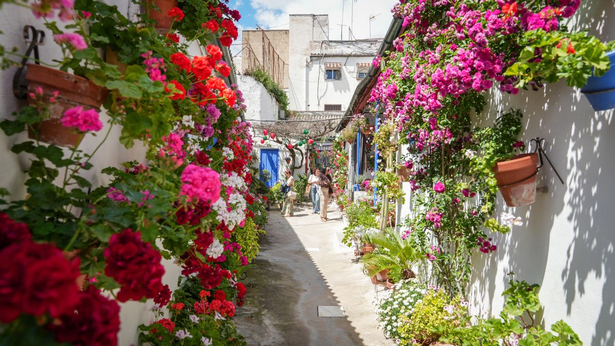 Marroquíes, 6