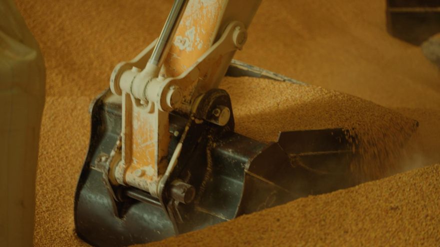 Una imagen de “La crisis de la ganadería”, el programa de 'Informe Trópico' de este domingo