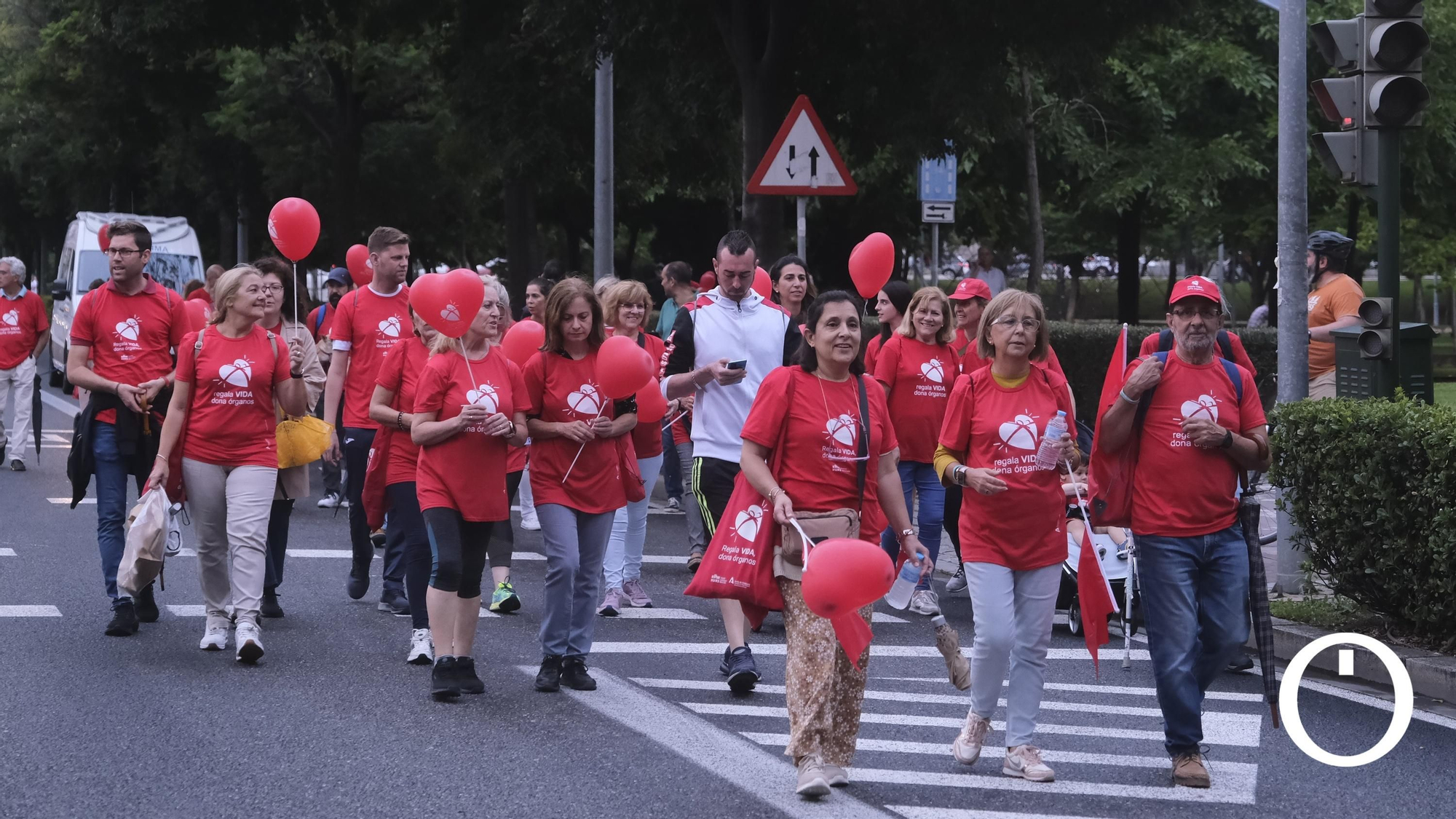 Marcha por la Donación de órganos.