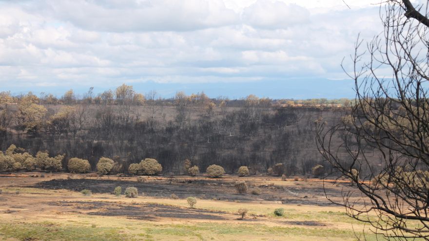 La Sierra de la Culebra levanta la mirada tras la batalla contra el fuego: "Habrá que tirar para adelante como se pueda"