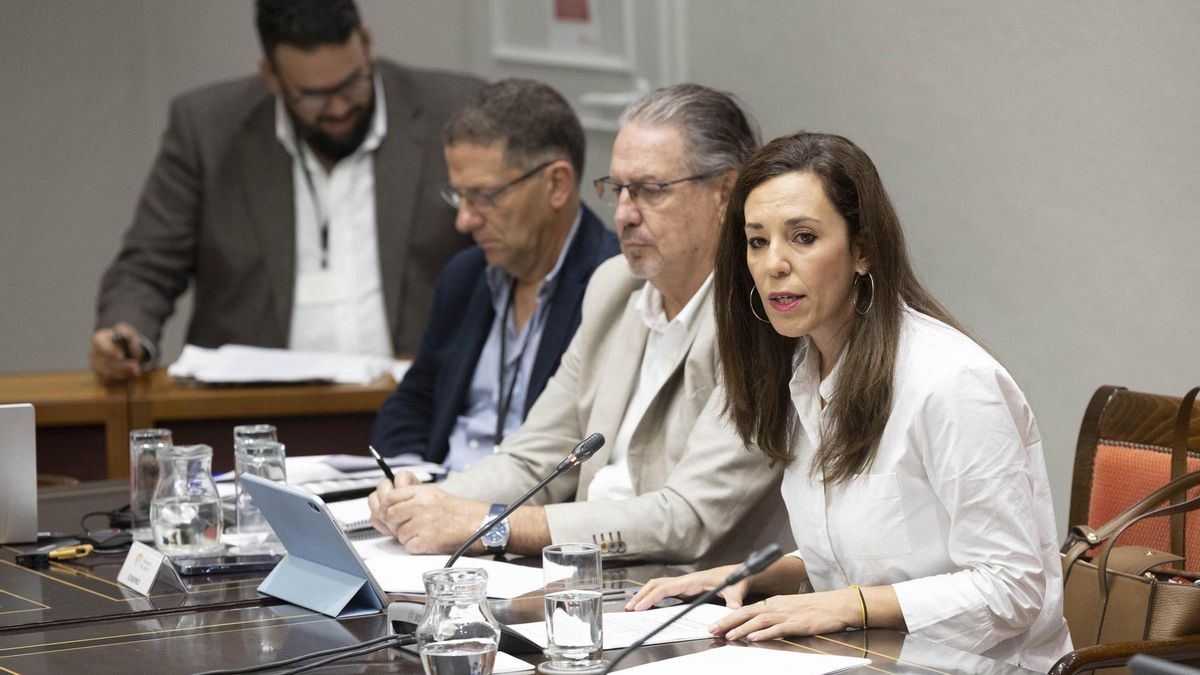 Turismo de Canarias recibirá 241 millones de los presupuestos y sigue rechazando una tasa por pernoctación