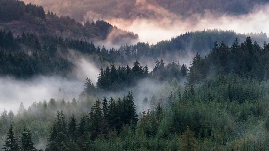 Bosques en los alrededores de Aberfoyle.