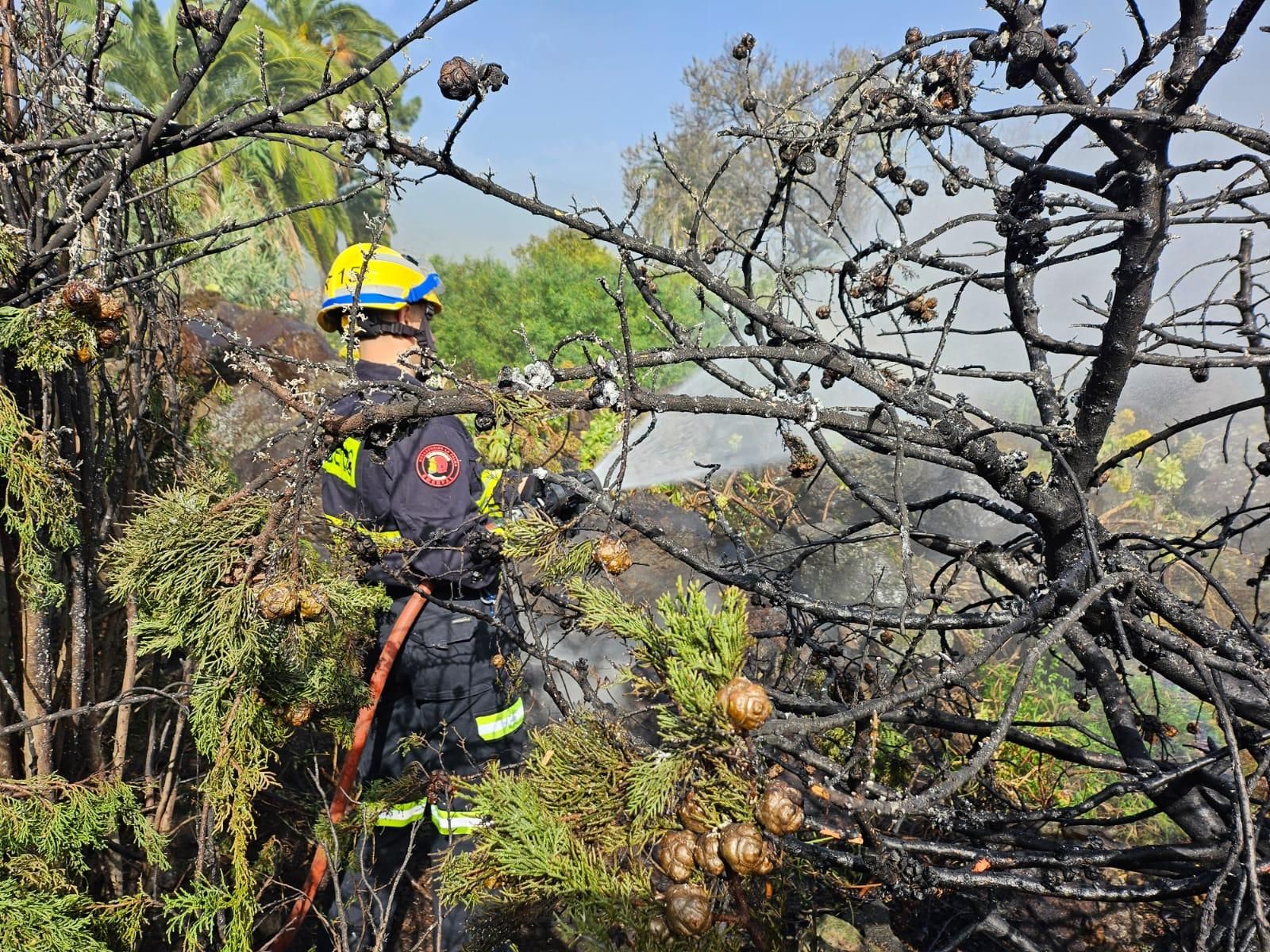 El incendio de Las Ledas se registró junto a una vivienda. BOMBEROS LA PALMA