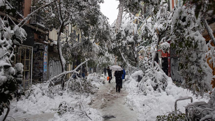 "La probabilidad de tener otra Filomena es de un 1%", según los meteorólogos