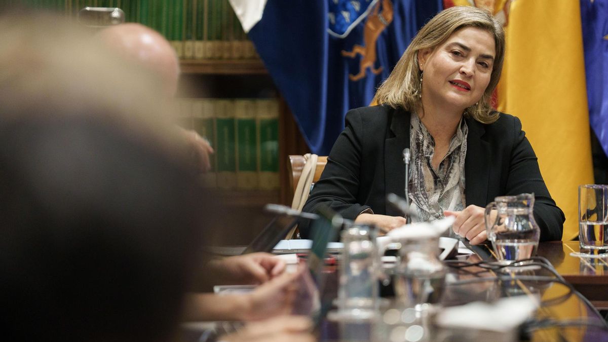 La administradora general de Radiotelevisión Canaria, María Méndez, ha renunciado este lunes al cargo, según ha confirmado ella misma este mediodía al comparecer en el Parlamento ante la comisión de control de la cadena publica. EFE/Ramón de la Rocha