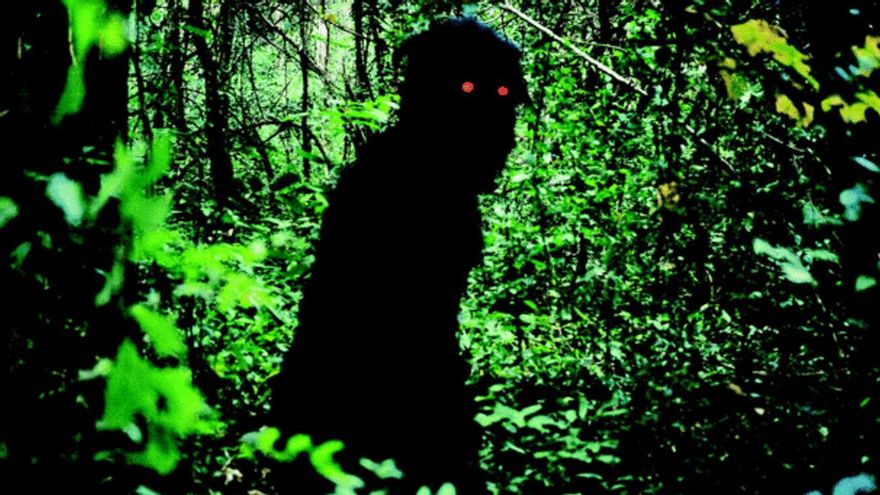 Tío Boonmee recuerda sus vidas pasadas