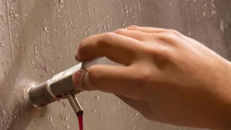 La cosecha 2021 de la Denominación de Origen La Mancha es “excelente”, calificación que no lograba desde 2017