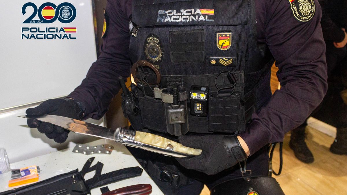 Intervienen un narcopiso que albergaba peleas clandestinas de gallos en El Palmar