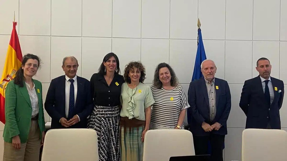 Comisión de Expertos