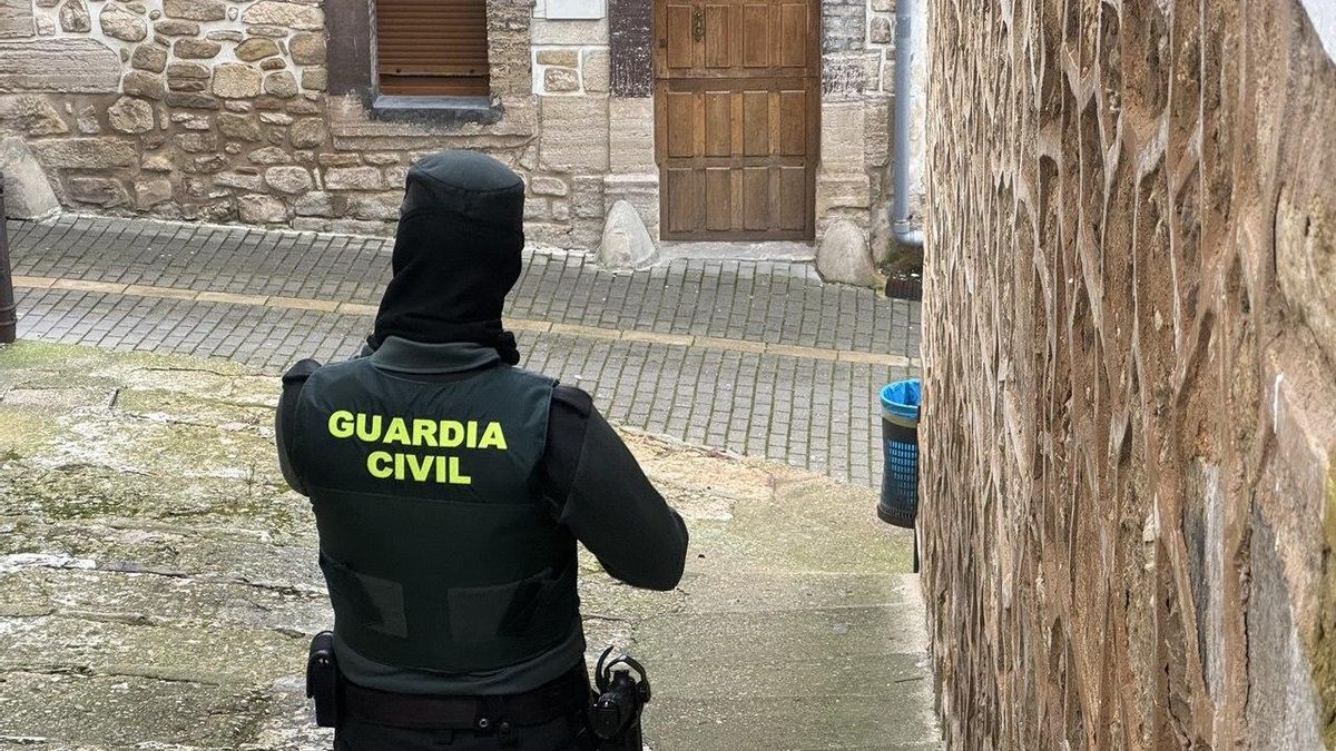 La Guardia Civil detiene una furgoneta en Irún que ocultaba diez gallos de pelea