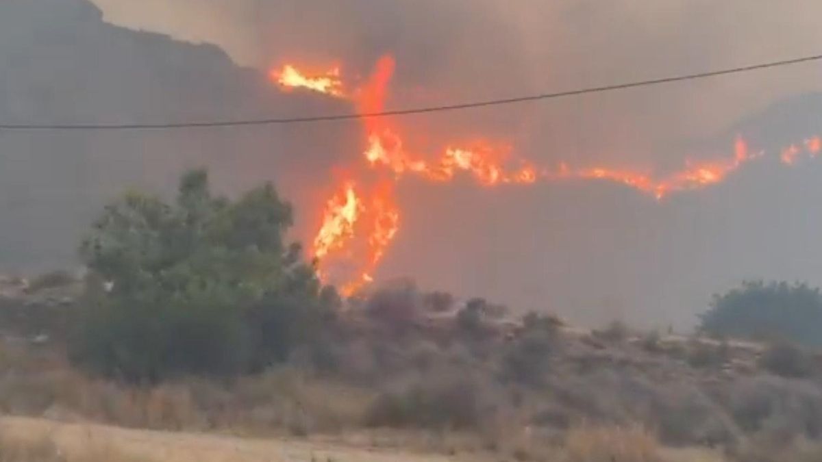 El incendio de Almería acecha "a gran velocidad" a una zona de viviendas diseminadas y la Junta no descarta más víctimas