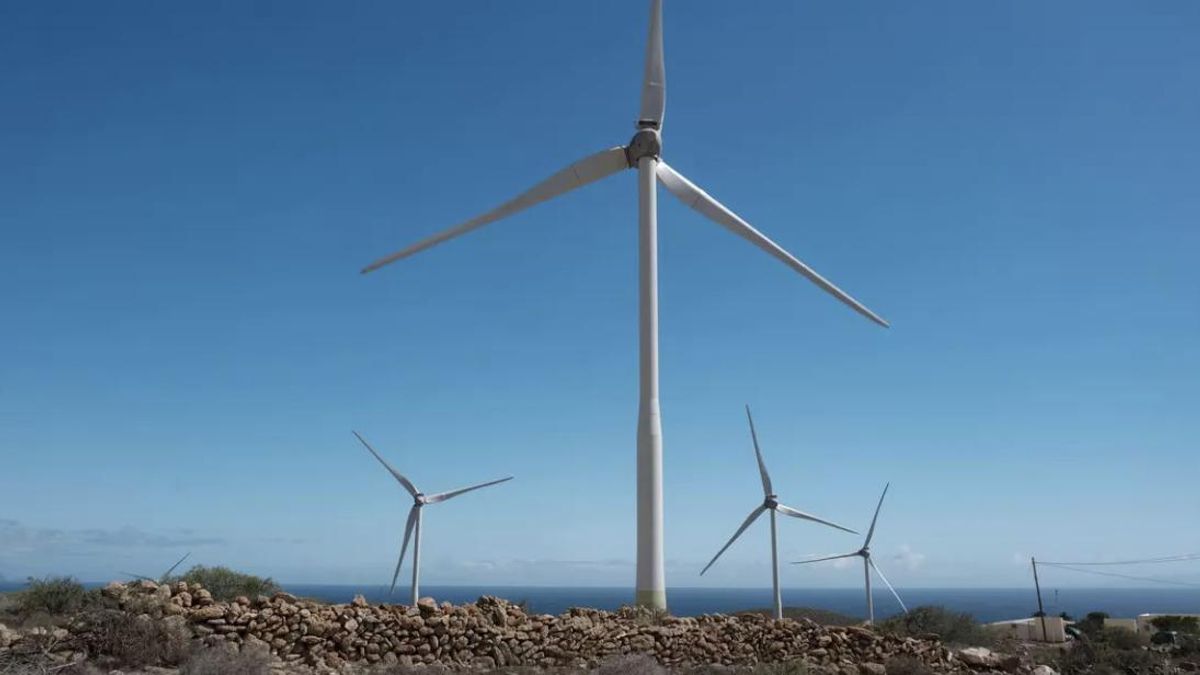 Parque eólico situado en la costa este de Tenerife