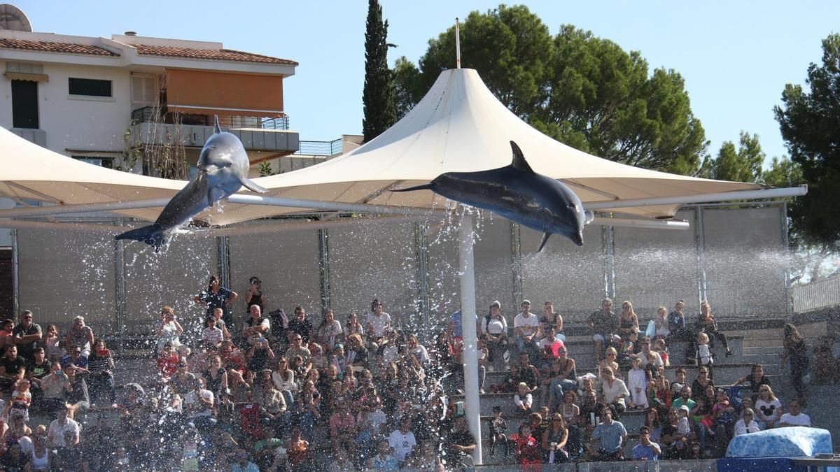 La Fundación Franz Weber exige el fin de los espectáculos con delfines y leones marinos en Marineland Mallorca