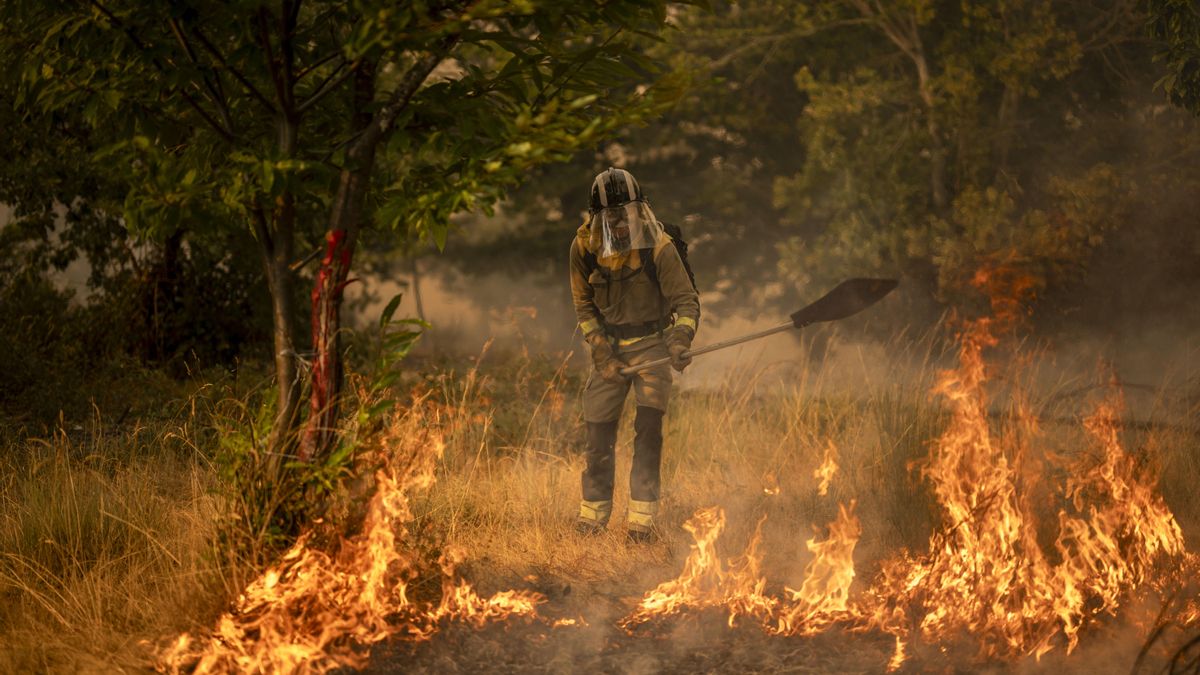 Un bombero forestal realiza labores de extinción en A Gudiña (Ourense).