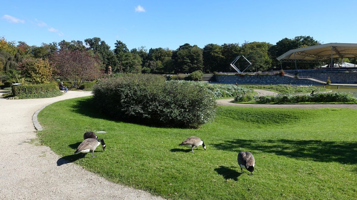Parc Floral de París. Aquí se extendían los bosques de Vincennes, coto de caza de los reyes de Francia.