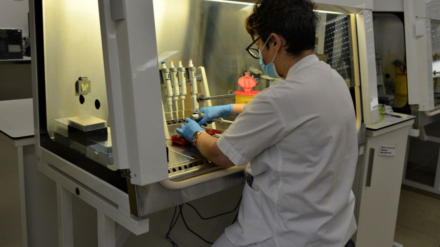 Carriquiri, la variante navarra resistente a las vacunas que los rastreadores lograron aislar