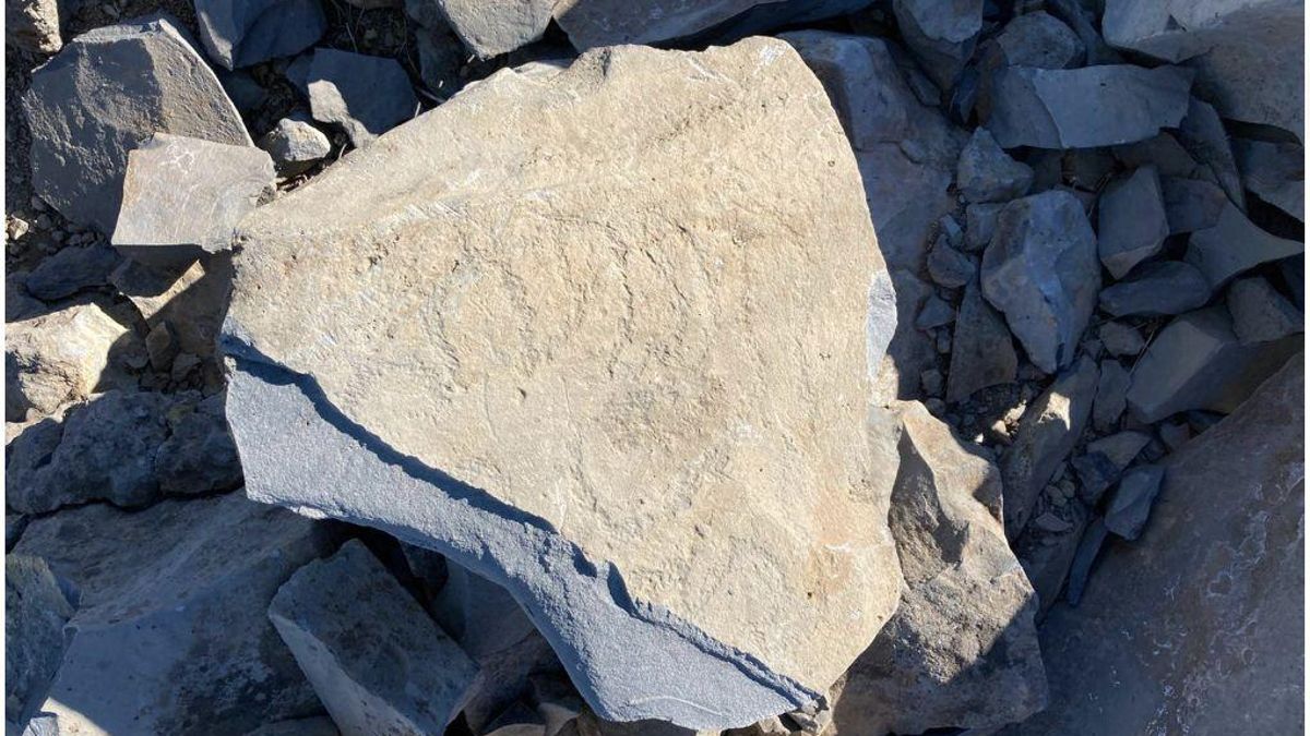 Piedras con grabados dañadas por la obra.