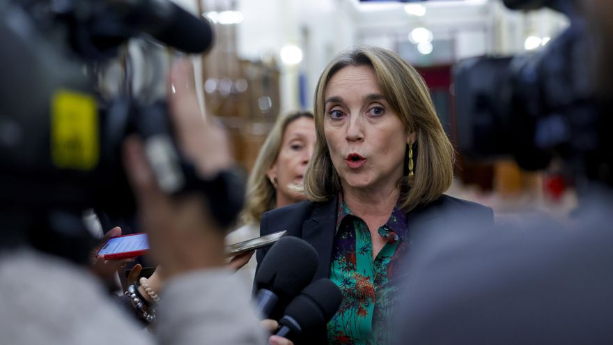 La diputada del Partido Popular Cuca Gamarra, realiza declaraciones este miércoles en el Congreso de los Diputados.