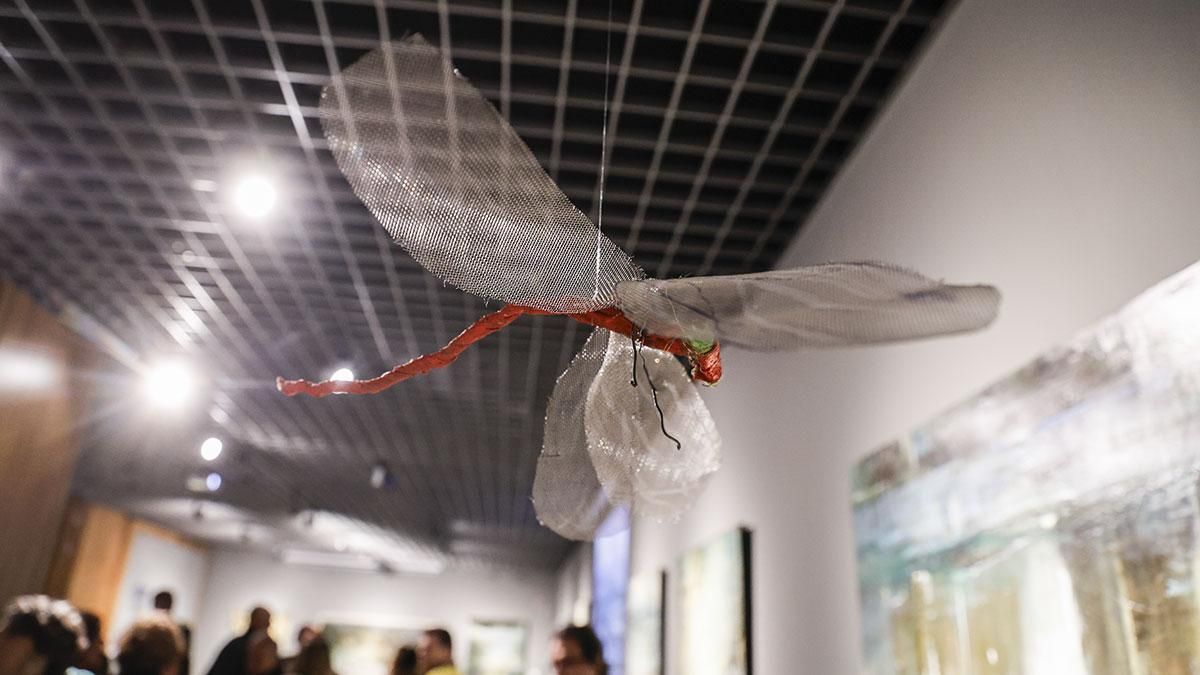 La Fundación Cajasol inaugura la exposición “Humedales. El reino de las libélulas” de Julia Hidalgo