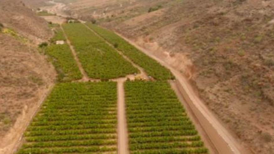 Terrenos recientemente recuperados para el cultivo en Posteragua y El Inglés (bco. de Veneguera)