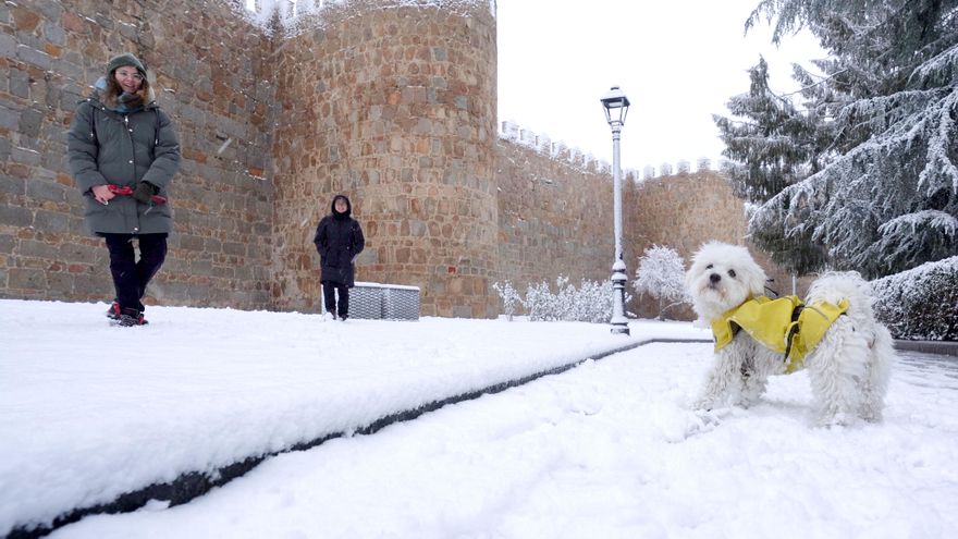 Dos personas pasean a su perro a los pies de la Muralla de Ávila, que está nevada, este miércoles.