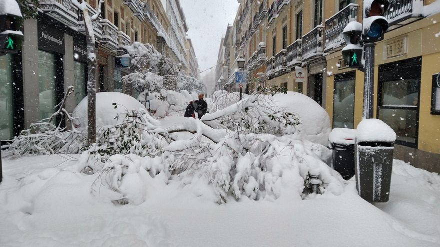Calle Manuela Malasaña cortada por la caída de varios árboles