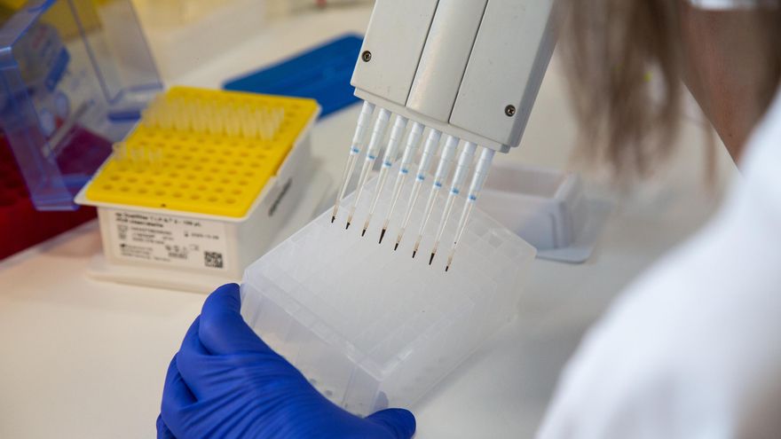 Argentina reportó su primer caso sospechoso de viruela del mono