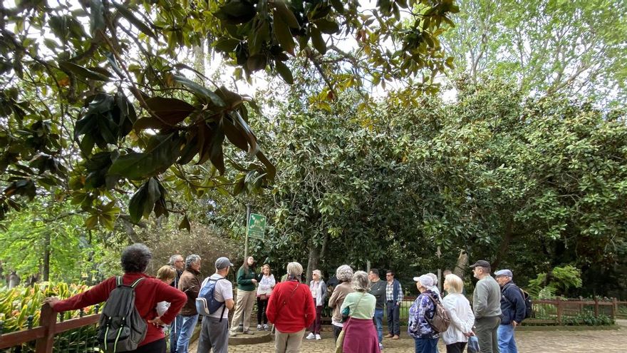 Los proyectos de viviendas colaborativas avanzan en Canarias para combatir el individualismo: “Favorecen el envejecimiento activo”