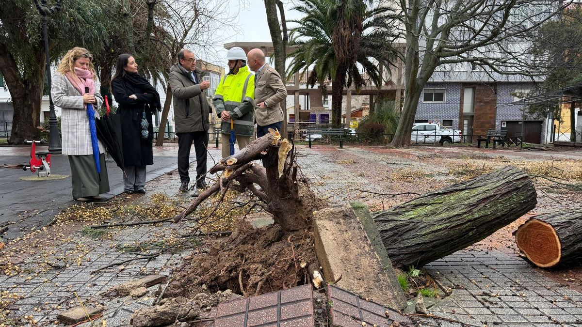Las consecuencias del temporal en Cáceres: más de 250 árboles caídos y graves daños en espacios públicos