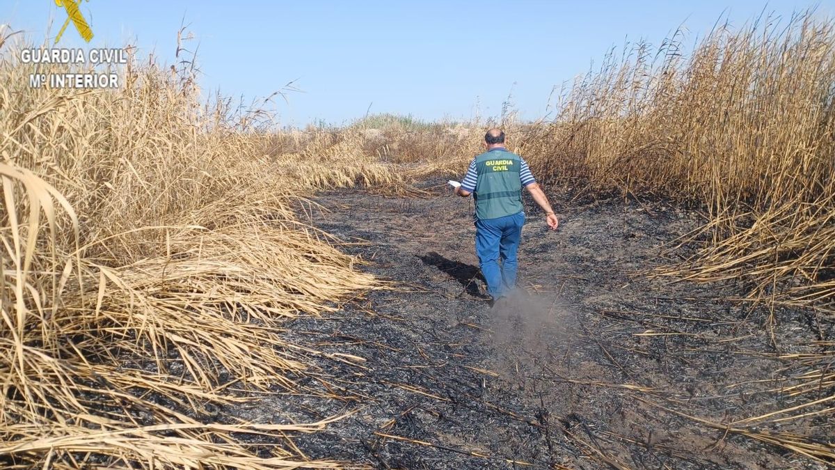 Uno de los agentes investigando la zona incendiada
