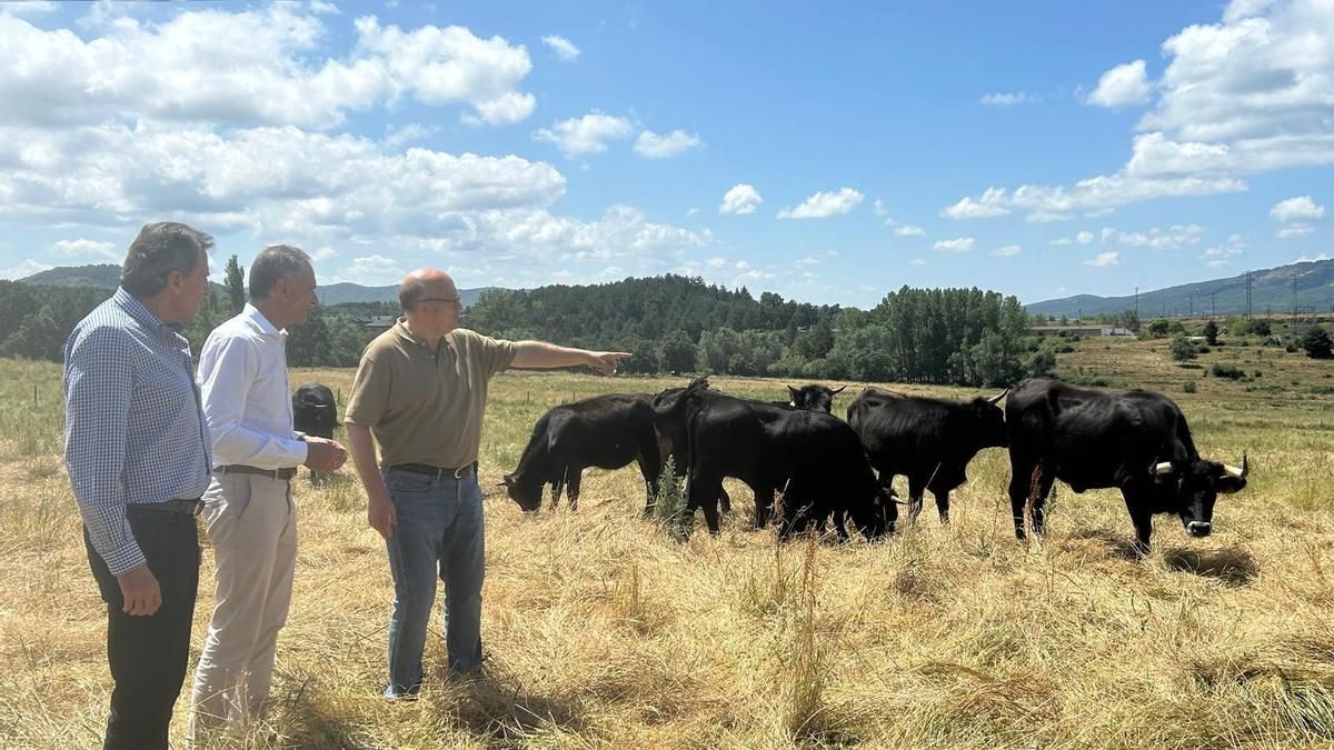 El Centro de Selección y Reproducción Animal de León, Censyra, produjo más de 90.000 dosis seminales en 2024