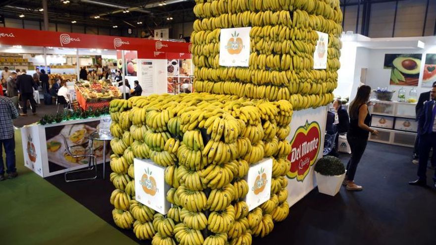 Expertos analizarán el combate al hongo que amenaza al banano en el mundo