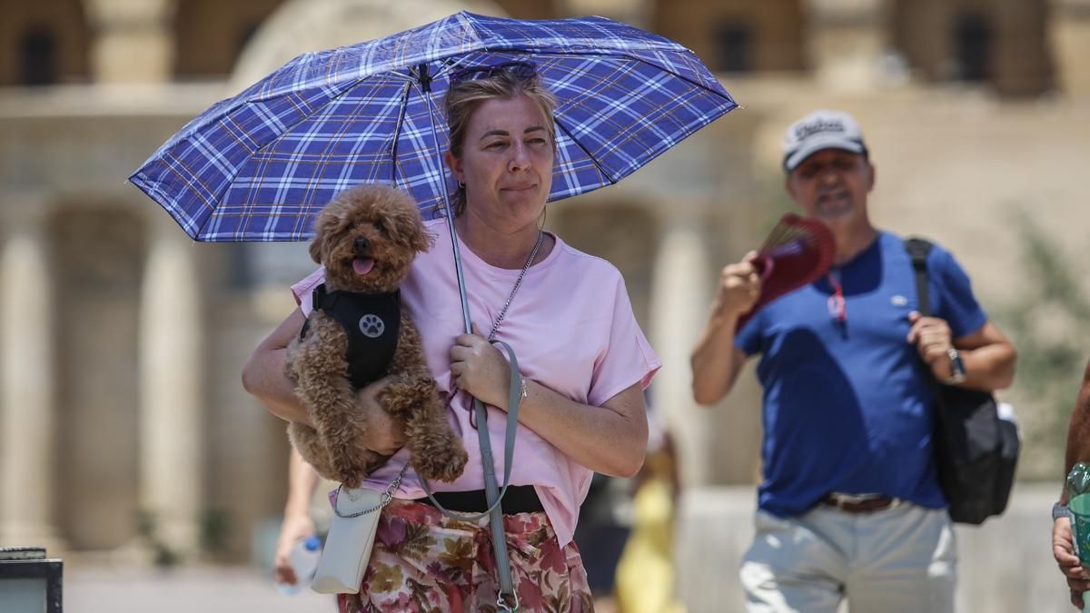 Córdoba sigue en los 40 ºC por quinto día seguido a la espera de otro repunte de calor