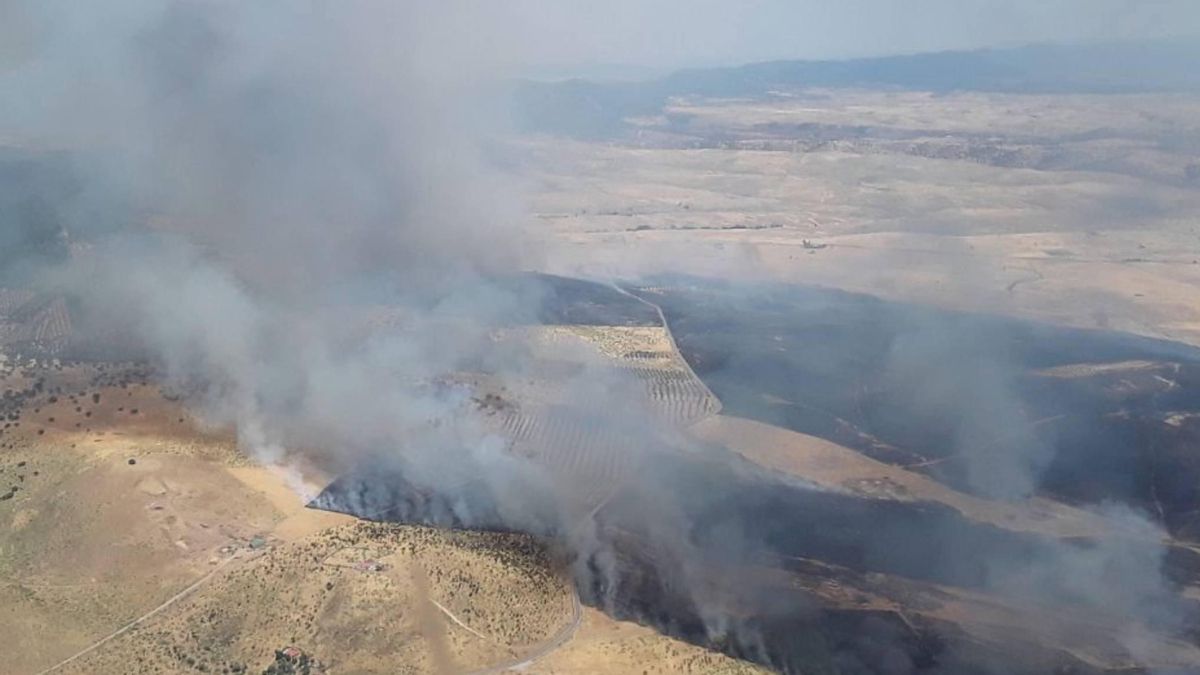 Incendio forestal en Hinojosas de Calatrava