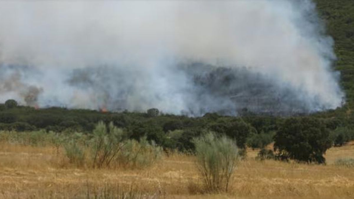 Incendio en Cabezarrubias del Puerto, Ciudad Real, a principios de julio