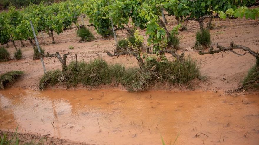 UPA reclama ayudas extraordinarias para paliar los daños de las últimas tormentas
