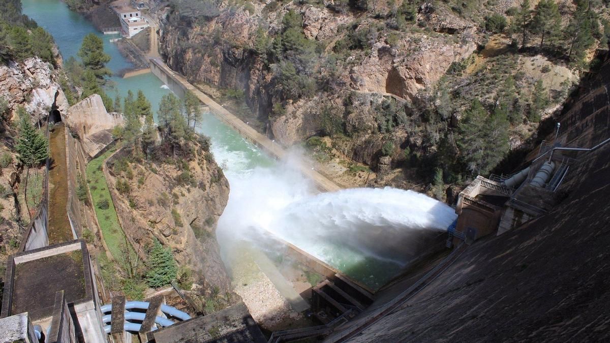 La Confederación del Segura dedicará más de 170.000 euros al mantenimiento forestal en varios embalses
