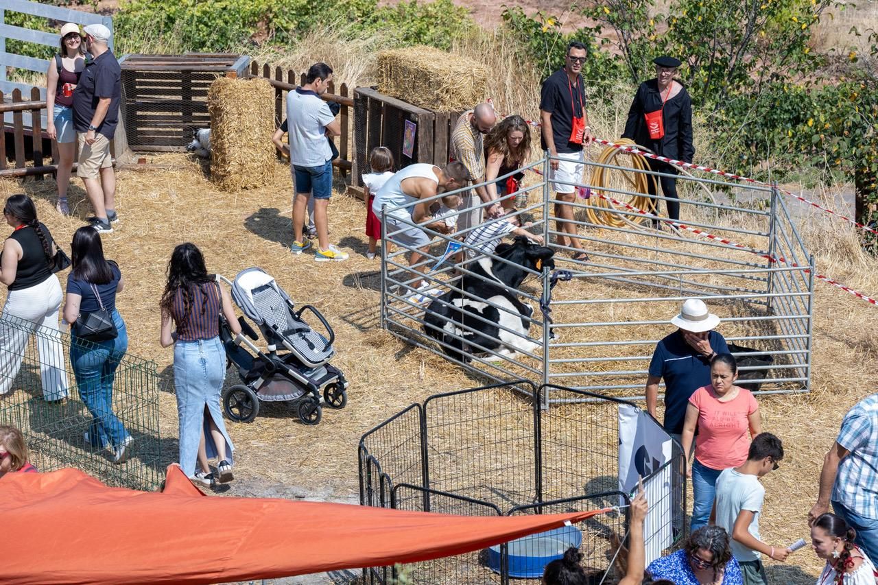 Mercado del Trato en Ventosa, La Rioja