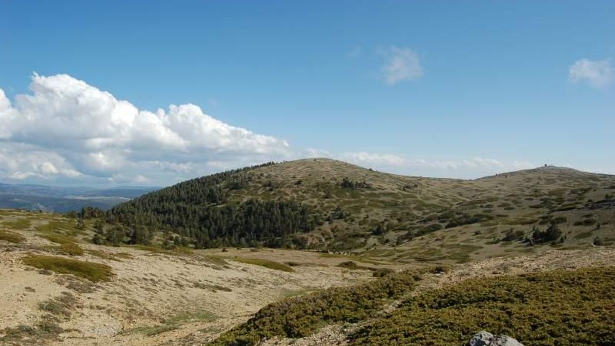 La Guardia Civil denuncia una ruta de motos por pistas forestales de Teruel sin autorización