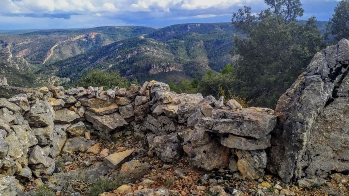 La ruta junto al Tajo con la que disfrutar de sabinas, interminables vistas desde un castillo o el único monasterio cisterciense habitado de esta provincia